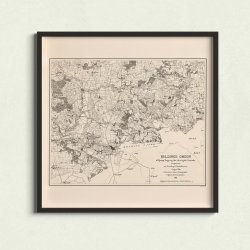 Koldings omegn mod syd 1851 - Militrt kort