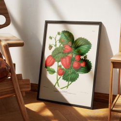 Jordbr 1879 - Botanisk Illustration - Plakat