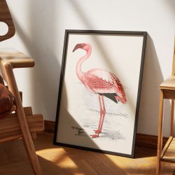 Flamingo Illustration 1919 - Plakat