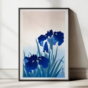 Irisblomster 1931 - Plakat