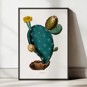 Prekaktus 1800-tallet - Plakat