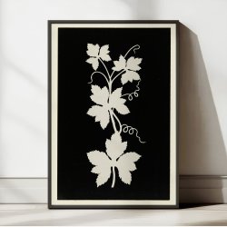 Vinblade 1802 - Botanisk plakat