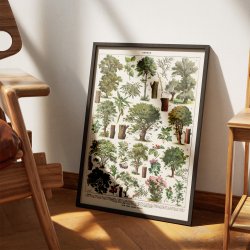 Trer i Farve 1932 - Botanisk plakat