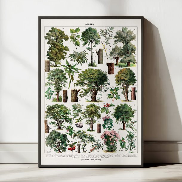 Trer i Farve 1932 - Botanisk plakat