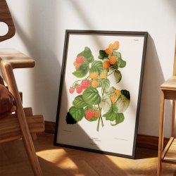 Hindbr II 1879 - Plakat