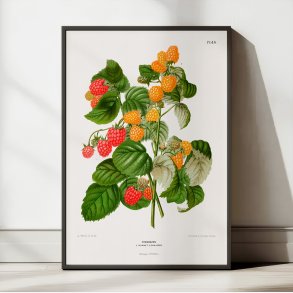 Hindbr II 1879 - Plakat