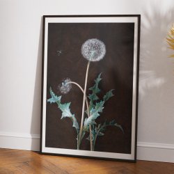 Mlkebtten 1755 - Plakat