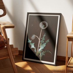 Mlkebtten 1755 - Plakat