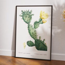 Figenkaktus 1799 - Plakat