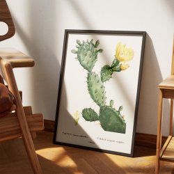 Figenkaktus 1799 - Plakat