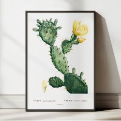 Figenkaktus 1799 - Plakat