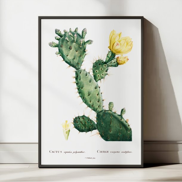 Figenkaktus 1799 - Plakat