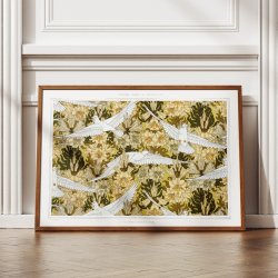 Colombes Et Lis 1897 - Mnsterkunst