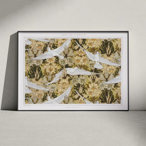 Colombes Et Lis 1897 - Mnsterkunst