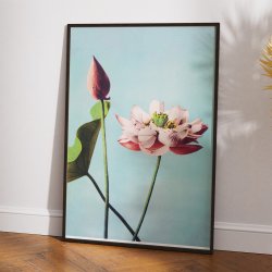 Lotusblomster 1897 - Japansk Botanik