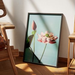 Lotusblomster 1897 - Japansk Botanik
