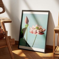 Lotusblomster 1897 - Japansk Botanik