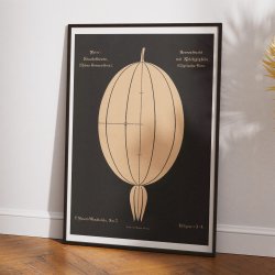 Stikkelsbr 1892 - Botanisk Tavle