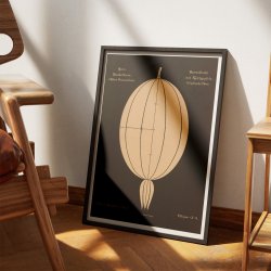 Stikkelsbr 1892 - Botanisk Tavle