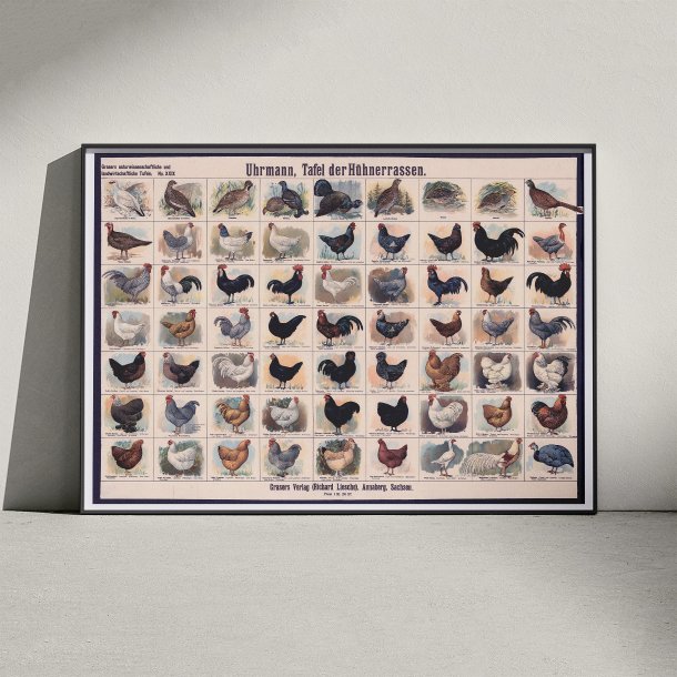 Hnseracer 1910 - Zoologisk Planke