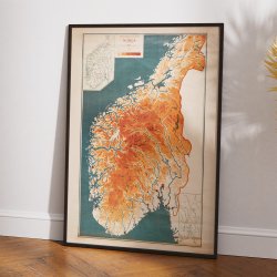 Norge 1903 - Hjdekort