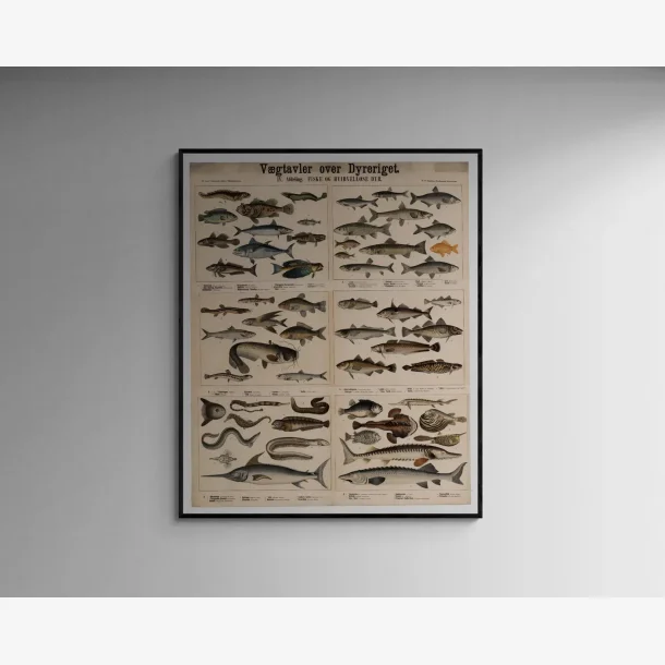 Fisk &amp; Hvirveldyr 1879 - Zoologi - 5770 cm