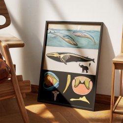 Blhval 1920 - Jung-Koch-Quentell - Plakat