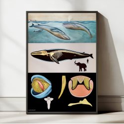 Blhval 1920 - Jung-Koch-Quentell - Plakat