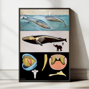 Blhval 1920 - Jung-Koch-Quentell - Plakat