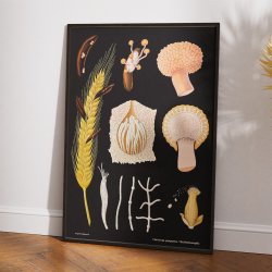 Meldrje 1920 - Jung-Koch-Quentell - Plakat