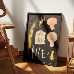 Meldrje 1920 - Jung-Koch-Quentell - Plakat