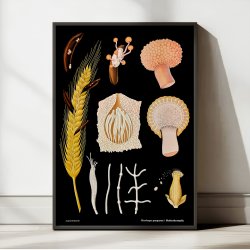 Meldrje 1920 - Jung-Koch-Quentell - Plakat