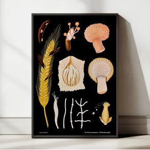 Meldrje 1920 - Jung-Koch-Quentell - Plakat