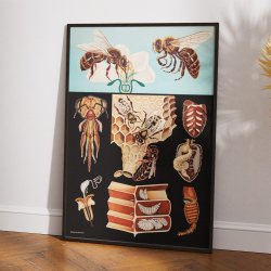 Honningbi 1920 - Jung-Koch-Quentell - Plakat