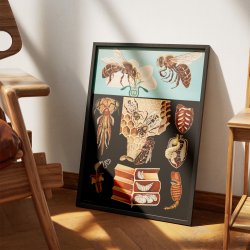 Honningbi 1920 - Jung-Koch-Quentell - Plakat