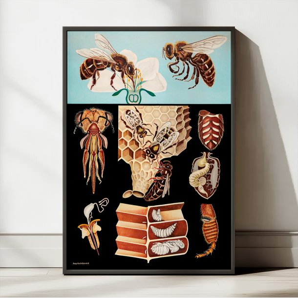 Honningbi 1920 - Jung-Koch-Quentell - Plakat