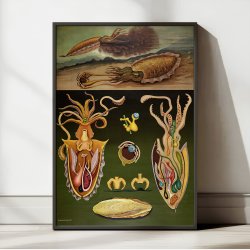 Blksprutte 1920 - Jung-Koch-Quentell - Plakat