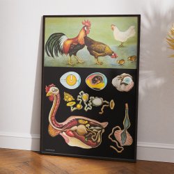 Hnen 1920 - Jung-Koch-Quentell - Plakat