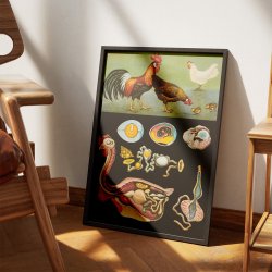 Hnen 1920 - Jung-Koch-Quentell - Plakat