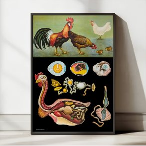 Hnen 1920 - Jung-Koch-Quentell - Plakat