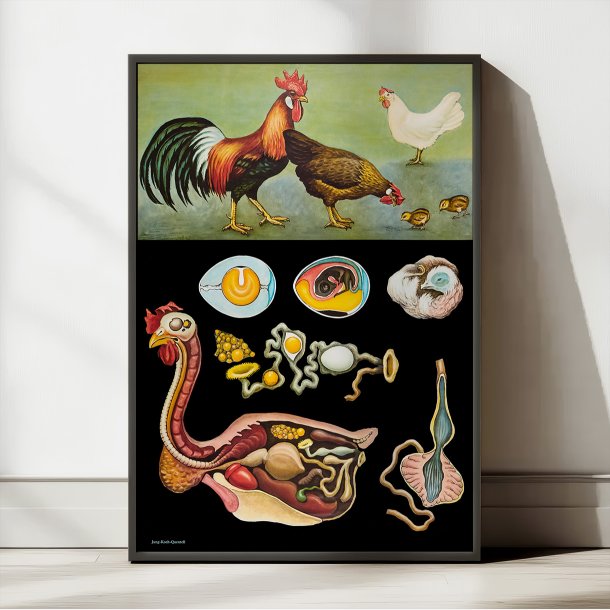 Hnen 1920 - Jung-Koch-Quentell - Plakat