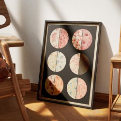 Bakterieformer 1938 - Biologi plakat