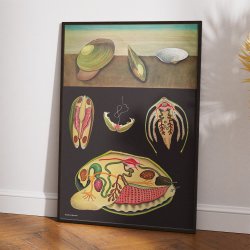 Dammusling 1920 - Jung-Koch-Quentell - Plakat