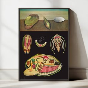 Dammusling 1920 - Jung-Koch-Quentell - Plakat