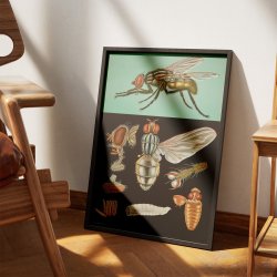 Flue 1920 - Jung-Koch-Quentell - Plakat