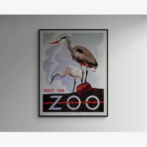Visit the Zoo 1937 - Fiskehejre Plakat - 5064 cm