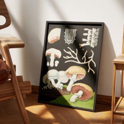 Champingon 1920 -  Svampe - Plakat