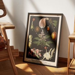 Mangotr 1880 - Anskuelsesbillede