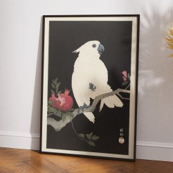 Kaketoe og granatble 1930 - Japansk plakat