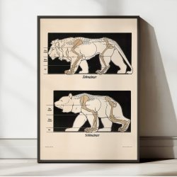 Sl- og tgngere 1907 - Anskuelsesbillede